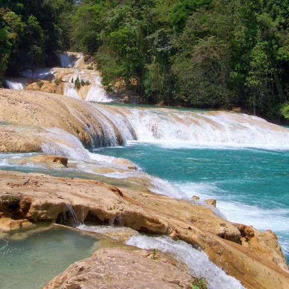 Visitar las Cascadas de Agua Azul en Chiapas 